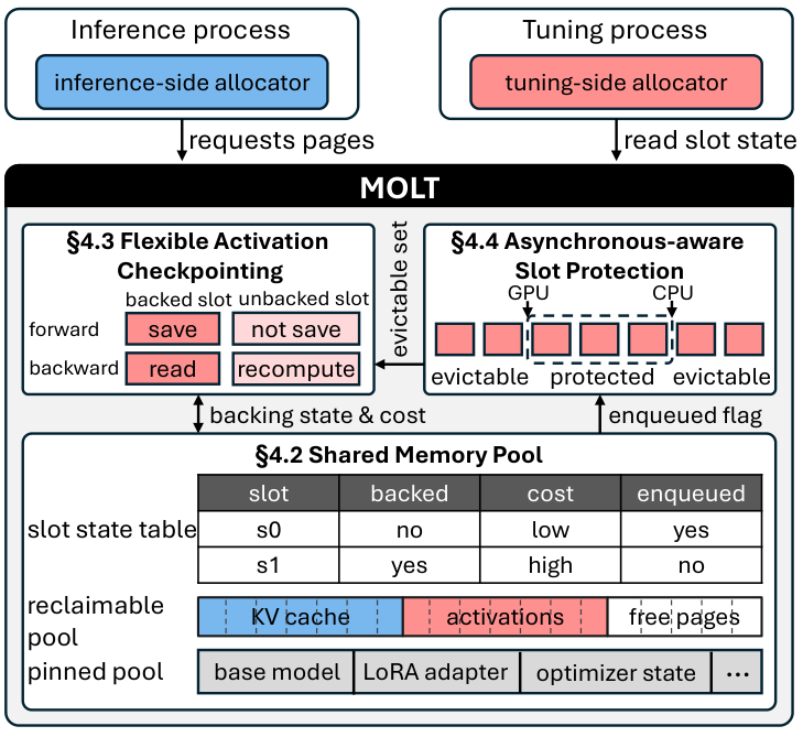 MOLT shared memory pool, flexible activation recomputation, and asynchronous slot protection