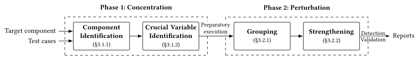 NosRacer concentration and targeted perturbation workflow